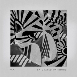 Various Artists Saturated Warriors! VINYL LP