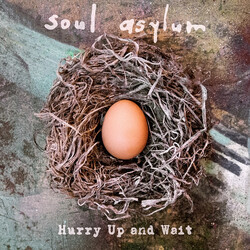 Soul Asylum Hurry Up And Wait Vinyl LP
