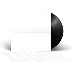 Foo Fighters But Here We Are VINYL LP