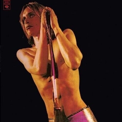 Iggy & The Stooges Raw Power VINYL LP