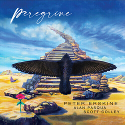 Peter Erskine & Alan Pasqua & Scott Colley Peregrine BLACK ULTRA VINYL LP