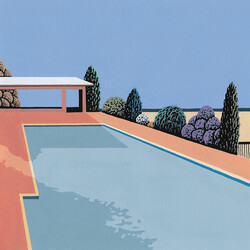 C Duncan H·E·A·L·T·H Vinyl LP