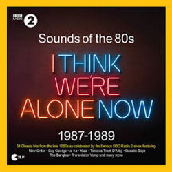 Various Sounds Of The 80s I Think We're Alone Now 1987-1989 Vinyl 2 LP