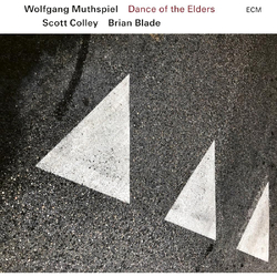 Wolfgang Muthspiel / Scott Colley & Brian Blade Dance Of The Elders VINYL LP