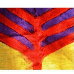 Yeah Yeah Yeahs Show Your Bones VINYL LP