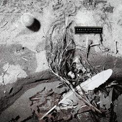 David Sylvian Secrets Of The Beehive Vinyl LP
