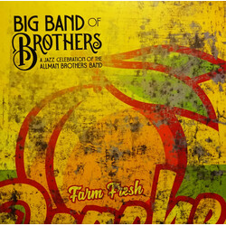 Big Band Of Brothers A Jazz Celebration Of The Allman Brothers Band (Peach Vinyl) Vinyl LP