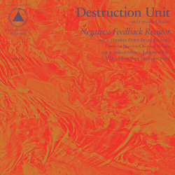 Destruction Unit Negative Feedback Resistor VINYL LP