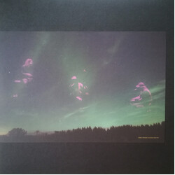 Daniel Norgren Skogens Frukter Vinyl LP