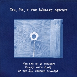 You. Me. + The Whales Sextet You Are In A Kitchen Filled With Plants As The Sun Streams Inwards VINYL LP