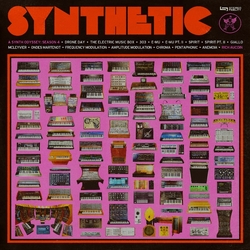 Rich Aucoin Synthetic 4 VINYL LP
