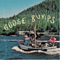 Boyscott Goose Bumps BLUE MARBLE VINYL LP