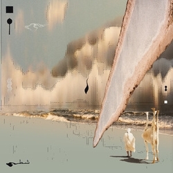 Taroug Chott DELUXE EDITION CLEAR VINYL LP