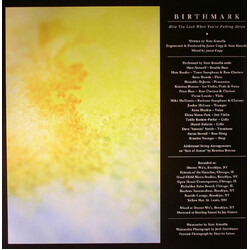 Birthmark How You Look When Youre Falling Down Vinyl LP