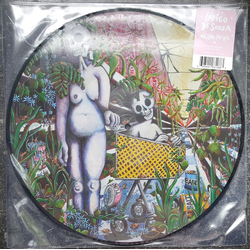 Indigo De Souza Any Shape You Take PICTURE DISC VINYL LP
