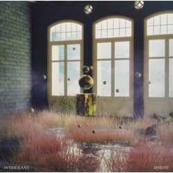 Intriguant Spirits VINYL LP