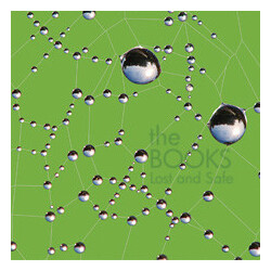 The Books Lost And Safe Vinyl LP