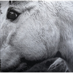 Bonny Light Horseman Bonny Light Horseman Vinyl LP
