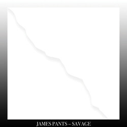 James Pants Savage VINYL LP