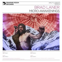 Brad Laner Micro-Awakenings Vinyl LP
