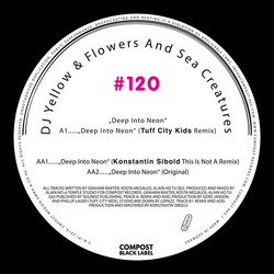 Dj Yellow & Flowers Deep Into Neon VINYL LP