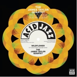 James Taylor Quartet Wildflower / Guiding Light VINYL 7INCH