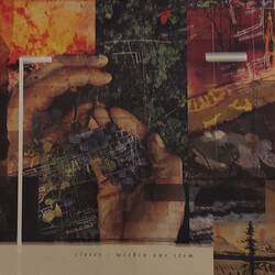 Closer Within One Stem Vinyl LP