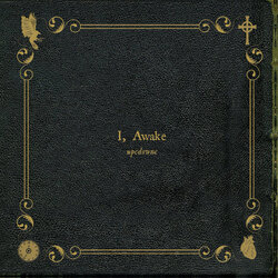 Upcdownc I Awake VINYL LP