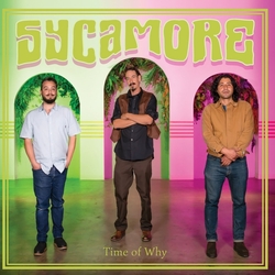Sycamore Time Of Why COLOURED VINYL LP