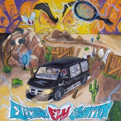 Electric Fly Swatter Night Flyer CLEAR VINYL LP
