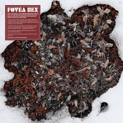 Fovea Hex The Salt Garden LANDSCAPED VINYL LP