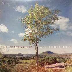 Waterboys All Souls Hill VINYL LP