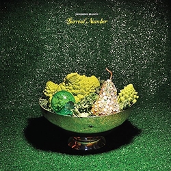 Swarming Branch Surreal Number VINYL LP