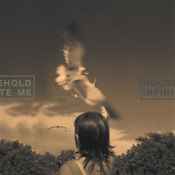 Household / Infinite Me Split TRANSPARENT GREEN VINYL LP
