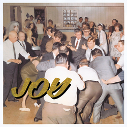 Idles Joy As An Act Of Resistance. Vinyl LP