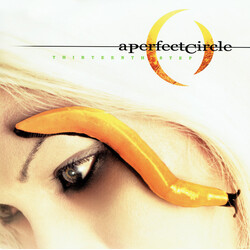 A Perfect Circle Thirteenth Step VINYL LP