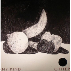 Any Kind Other VINYL LP