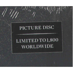 Killer Be Killed Killer Be Killed PICTURE DISC VINYL LP