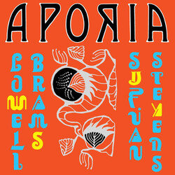 Sufjan Stevens & Lowell Brams Aporia Vinyl LP