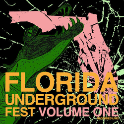 Various Artists Florida Underground Fest Vol. 1 VINYL LP