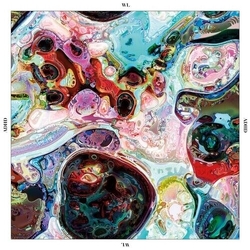 Wl Adhd VINYL LP