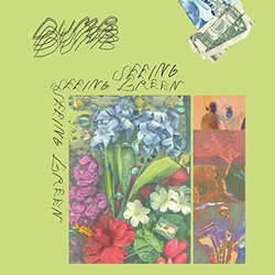 Dumb Seeing Green VINYL LP
