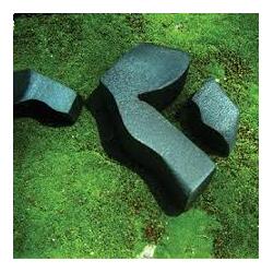 Camila Fuchs Heart Pressed Between Stones VINYL LP