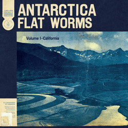 Flat Worms Antarctica