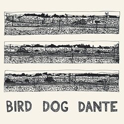 John Parish Bird Dog Dante VINYL LP