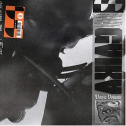Gaika Basic Volume VINYL LP