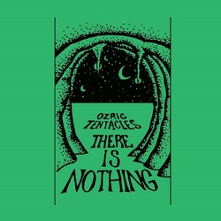 Ozric Tentacles There Is Nothing VINYL LP