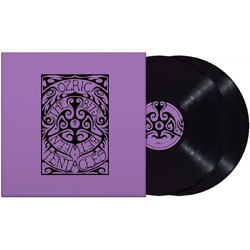 Ozric Tentacles The Bits Between The Bits VINYL LP