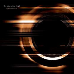 Pineapple Thief Tightly Unwound Vinyl LP
