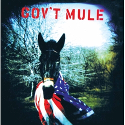 Gov'T Mule Gov'T Mule Vinyl LP